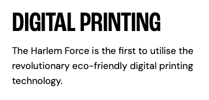 Harlem Force Kiteboarding Kite - Image 13