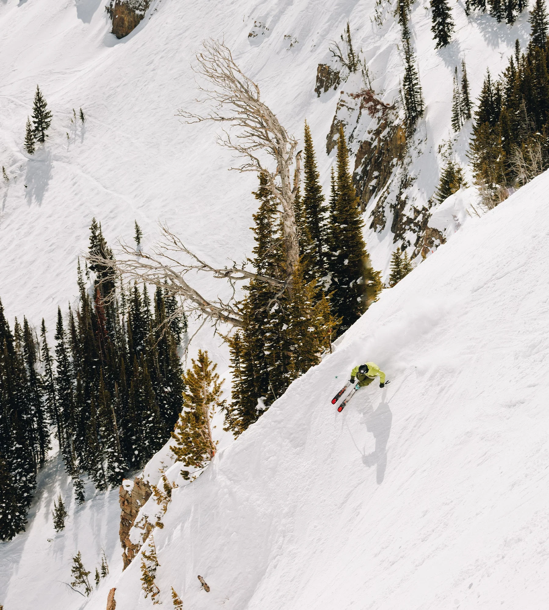 Kastle Paragon 101 Ski 2026 - Image 4