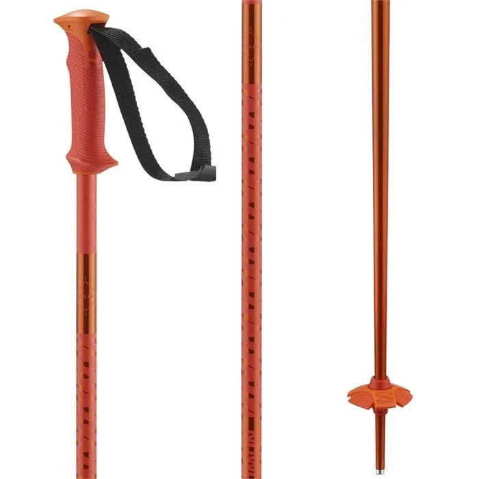 Salomon Polar Ski Poles - Image 3
